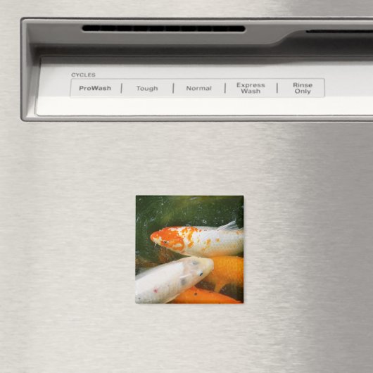 Koi Fish Magnet (In Situ (Geschirrspüler))