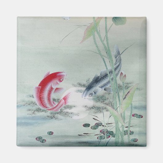 Koi Fish mit Lotus Magnet (Vorne)