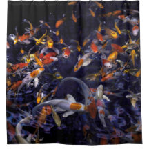 KOI FISH OVER FLOWING