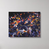 KOI FISH OVER FLOWING LEINWANDDRUCK (Vorderseite)