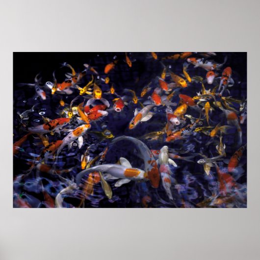 KOI FISH OVER FLOWING POSTER (Vorne)