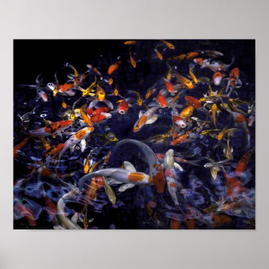 KOI FISH OVER FLOWING POSTER (Vorne)