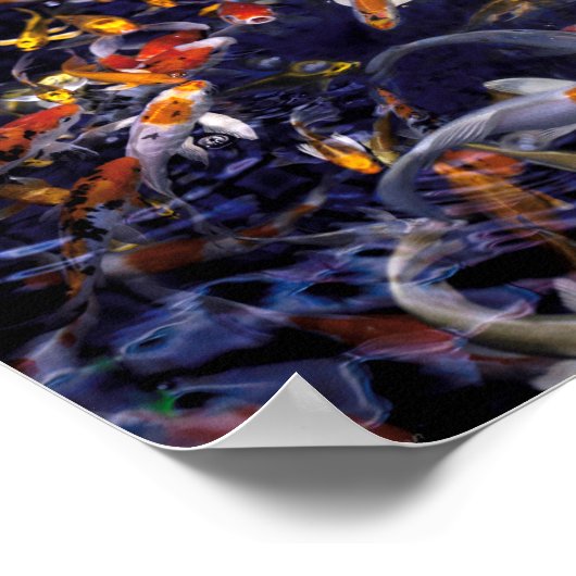 KOI FISH OVER FLOWING POSTER (Ecke)