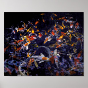 KOI FISH OVER FLOWING POSTER