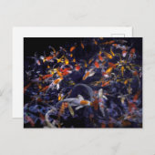 KOI FISH OVER FLOWING POSTKARTE (Vorne/Hinten)