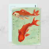 Koi Fish Postcard Postkarte (Vorne/Hinten)