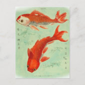 Koi Fish Postcard Postkarte (Vorderseite)