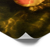 Koi Fish Poster (Ecke)