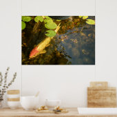 Koi Fish Poster (Küche)