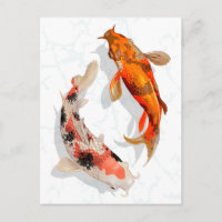 Koi Fish