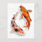 Koi Fish Postkarte (Vorderseite)