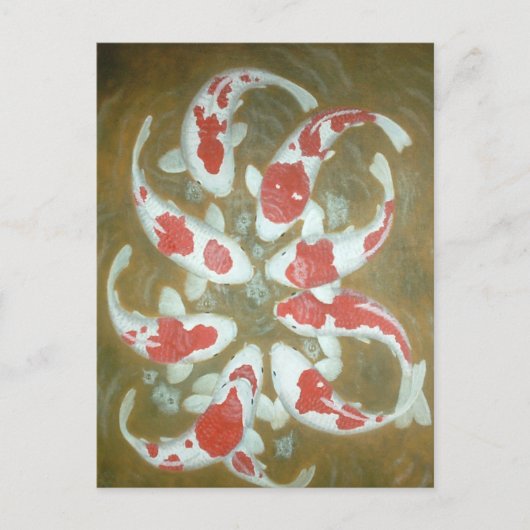 KOI FISH POSTKARTE (Vorderseite)