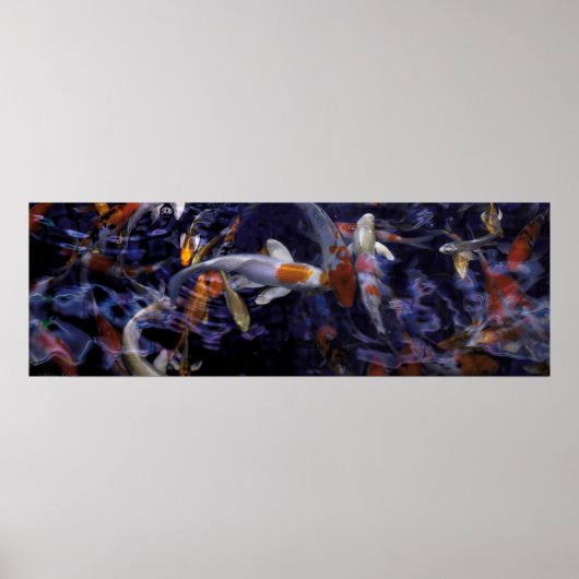 KOI FISH ÜBER FLOWING #2 POSTER (Vorne)