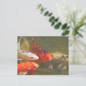Koi fish v.1 postkarte (Stehend Vorderseite)
