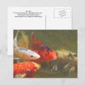 Koi fish v.1 postkarte (Vorne/Hinten)