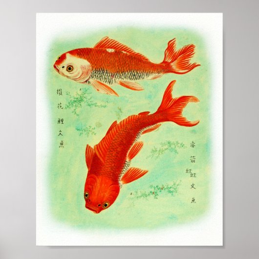 Koi Fish Vintage Japanese Art Poster (Vorne)