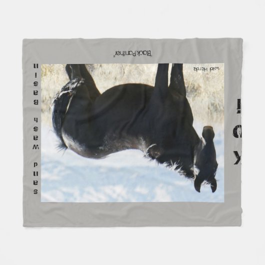 Koi Fleece-Decke Fleecedecke (Vorderseite (Horizontal))