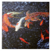 Koi Fliese (Vorderseite)