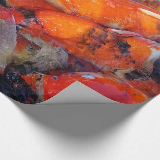 Koi Geschenkpapier (Ecke)