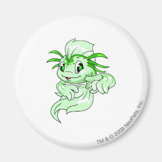 Koi Green Magnet