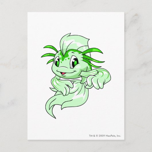 Koi Green Postkarte (Vorderseite)