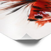 Koi Halfmoon Betta Fish Fotodruck (Ecke)