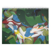 koi Kalender (Titelbild)
