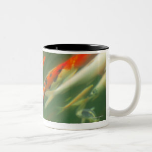 Koi Karpfen-Fischschwimmen in einem Teich Zweifarbige Tasse