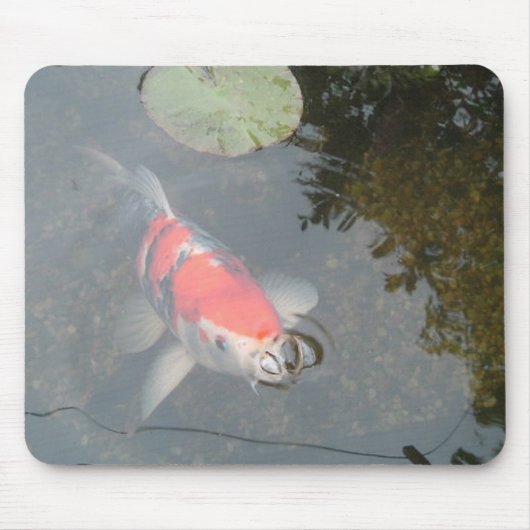 Koi Karpfen herauf nahe Ansicht Mousepad (Vorne)