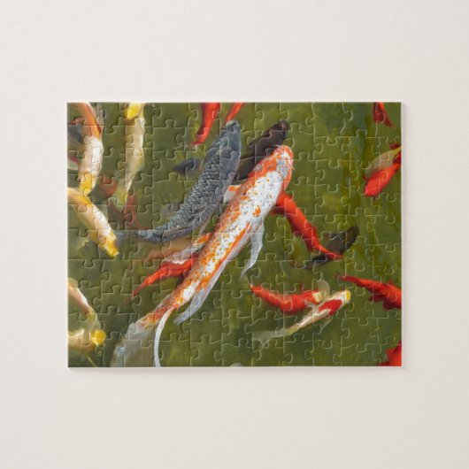 Koi-Karpfen im Teich Puzzle (Horizontal)