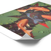 Koi-Karpfen Poster (Ecke)