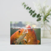 Koi-Karpfen Postkarte (Stehend Vorderseite)