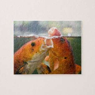 Koi-Karpfen Puzzle