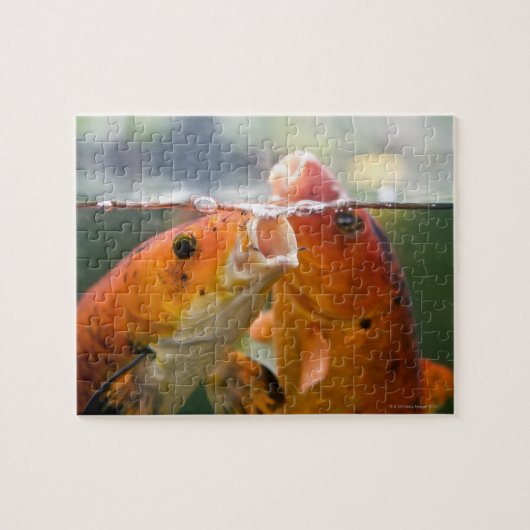 Koi-Karpfen Puzzle (Horizontal)