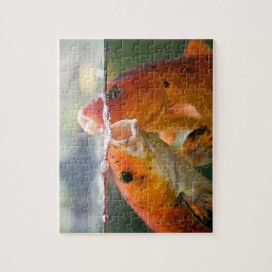 Koi-Karpfen Puzzle (Vertikal)