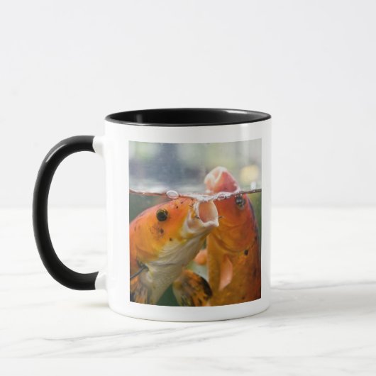 Koi Karpfen Tasse (Links)