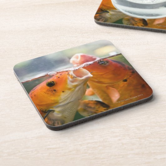 Koi Karpfen Untersetzer (Linke Seite)