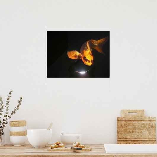 Koi Leinwand Poster (Küche)