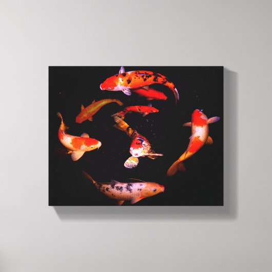 Koi Leinwanddruck (Vorderseite)