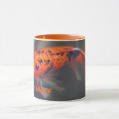 Koi, Pez Carpa Tasse (Zentrum)