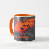 Koi, Pez Carpa Tasse (Vorderseite Links)