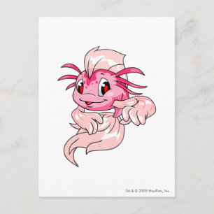 Koi Pink Postkarte