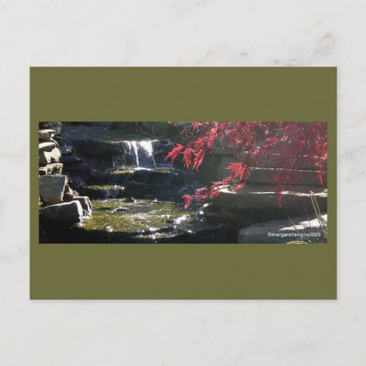 Koi Pond bei der HFSC Postkarte (Vorderseite)