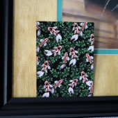 Koi Pond Fish Artwork Postkarte