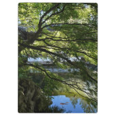Koi Pond in Chinese Garden Klemmbrett (Rückseite)