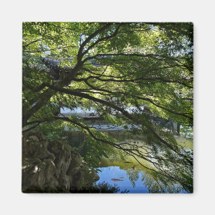 Koi Pond in Chinese Garden Magnet