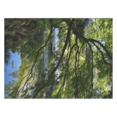 Koi Pond in Chinese Garden Tischdecke (Vorderseite (Horizontal))