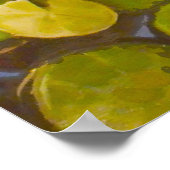 Koi Pond mit Lilienpolster und kleinen Fischen Poster (Ecke)