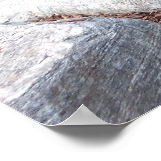 Koi Pond mit Wasserfall Poster (Ecke)