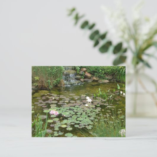 Koi Pond Postcard Postkarte (Stehend Vorderseite)